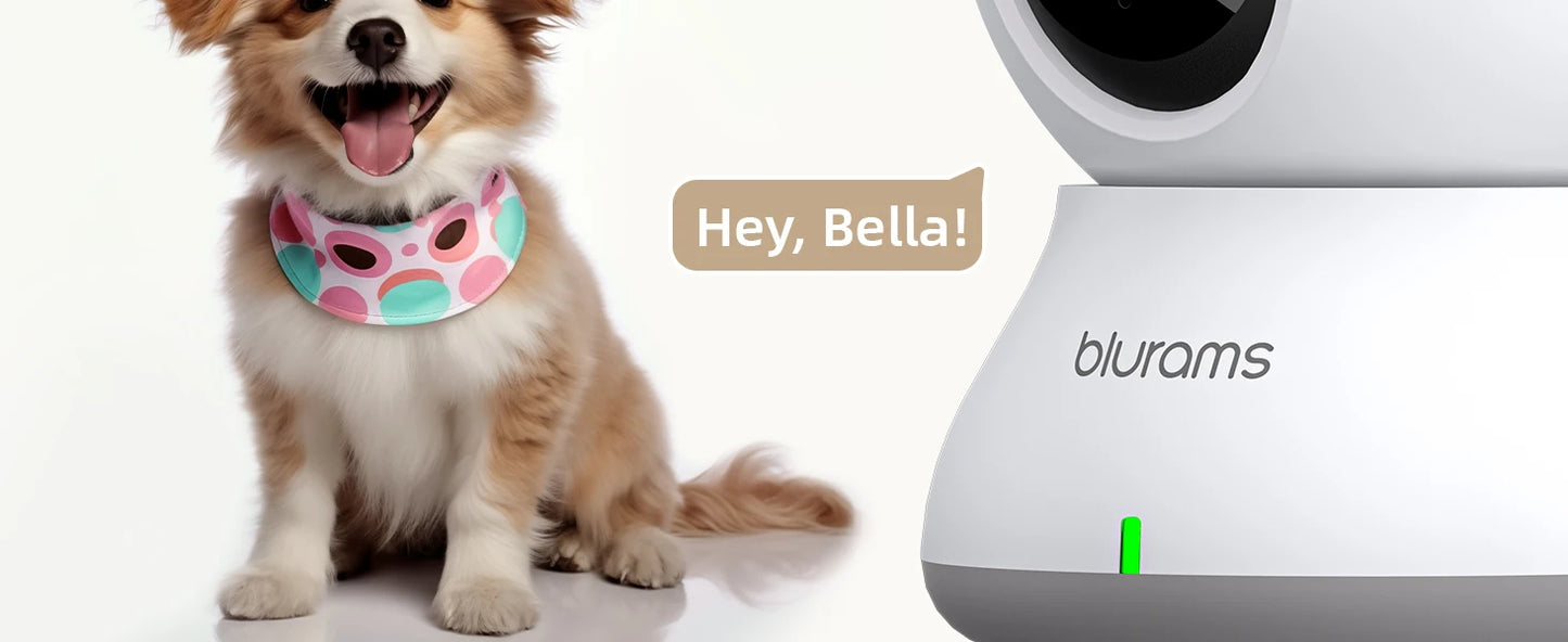 HomeFyZy 360View™ 2.4&5G WiFi Indoor Camera, 2K, 360° PTZ Pet Dog IP CCTV Camera with Phone App, 2-Way Talk, Night Vision