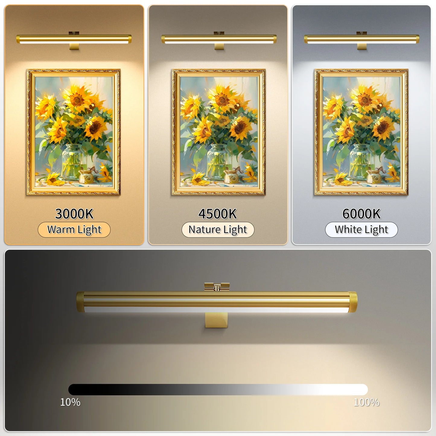 HomeFyZy MirrorGlow™ Remote Control LED Wall Light USB Charging