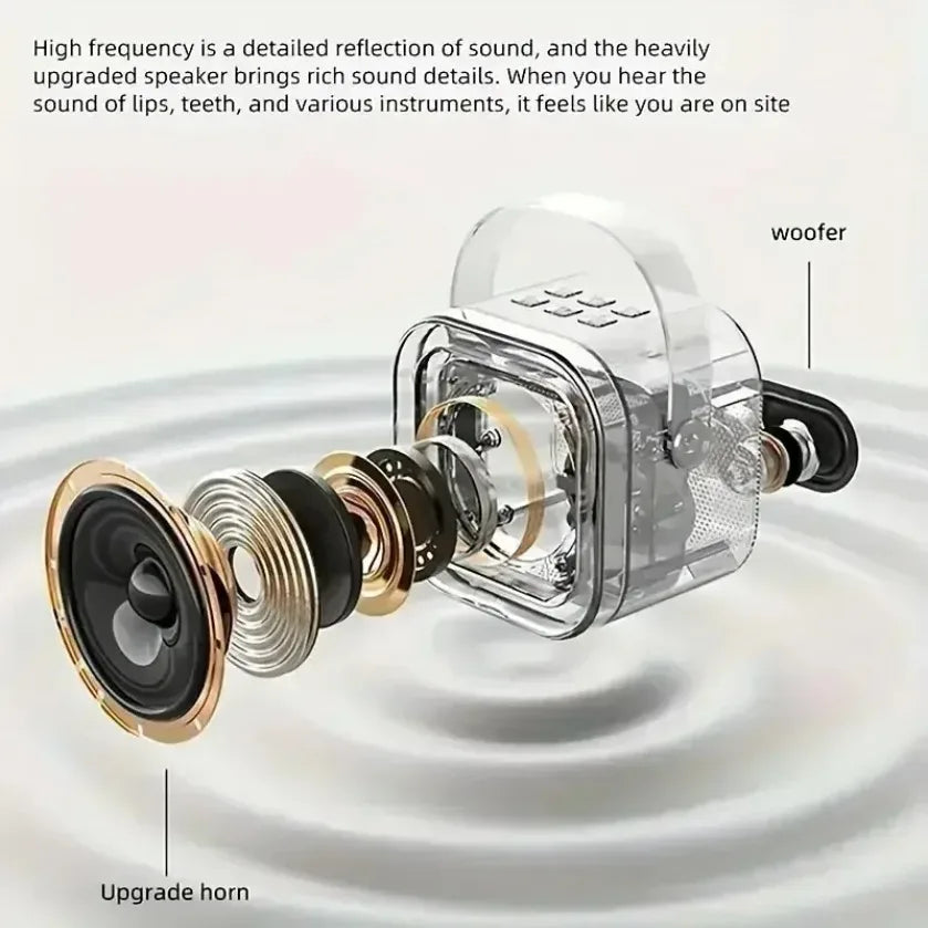 HomeFyZy SongWave™ – Portable Bluetooth Karaoke Speaker with Wireless Mic